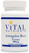 Astragalus Extract 300mg 90ct by Vital Nutrients