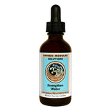 Strengthen Water (Kidney) 2 oz by Chinese Modular Solutions by Kan